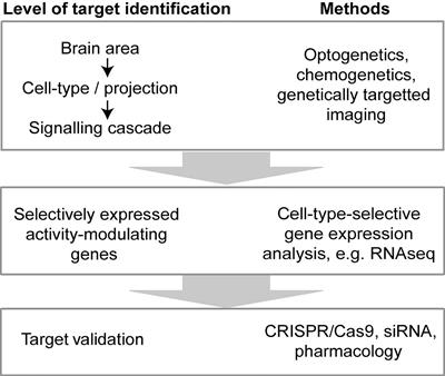 Hippocampal Hyperactivity as a Druggable Circuit-Level Origin of Aberrant Salience in Schizophrenia